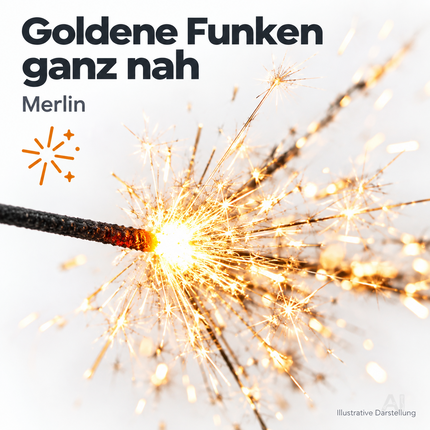 Silvester- und Feuerwerk-Set 2027 – inklusive Wunderkerzen, Knallerbsen und Partyartikeln - Set mit 170 Teilen (Merlin)