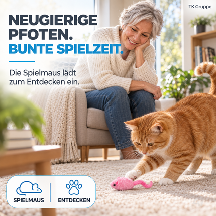 Katzenspielzeug Set - Spielzeug für div. Katzen zur Beschäftigung & Selbstbeschäftigung Maus