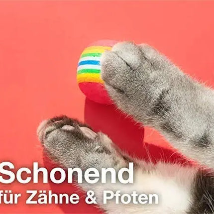 Katzenspielzeug Set - Spielzeug für div. Katzen zur Beschäftigung & Selbstbeschäftigung Maus