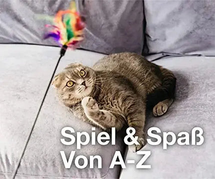 Katzenspielzeug Set - Spielzeug für div. Katzen zur Beschäftigung & Selbstbeschäftigung Maus