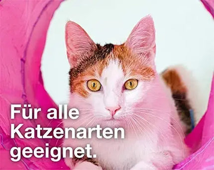 Katzenspielzeug Set - Spielzeug für div. Katzen zur Beschäftigung & Selbstbeschäftigung Maus