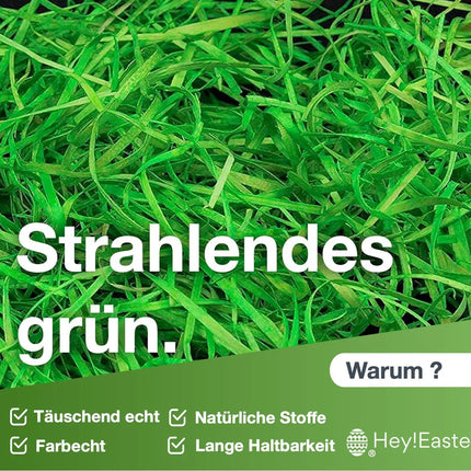 Ostergras Gras grün zur Deko an Ostern - Dekoration Schmücken klassisch z.b mit Ostereier, Osternest