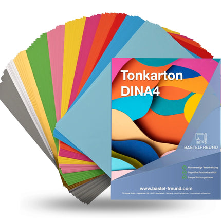 100x Papier Tonpapier Buntpapier 230 g/m² - A4 Kopierpapier Druckerpapier
